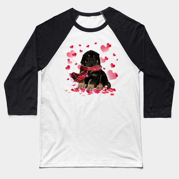 Tibetan Mastiff Hearts Love Happy Valentine's Day Baseball T-Shirt by Vintage White Rose Bouquets